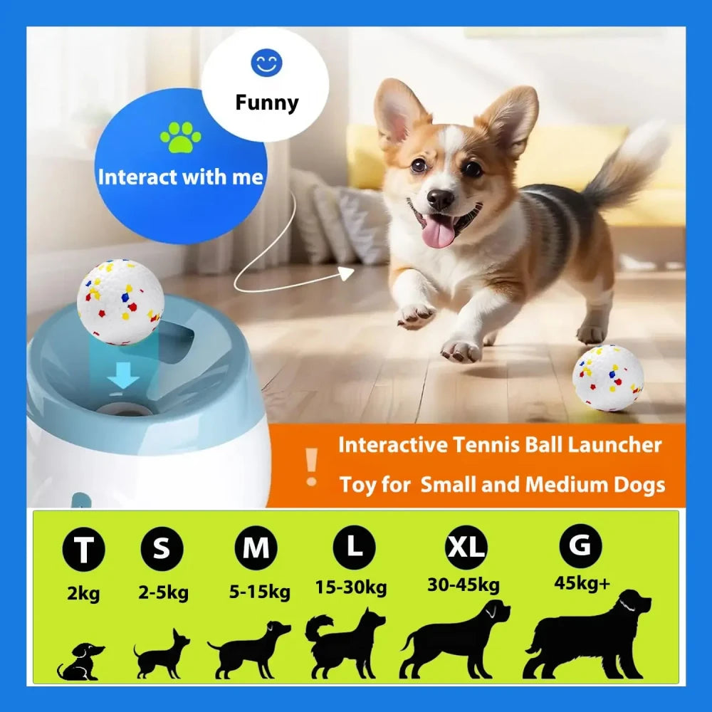 Automatic Indoor Dog Tennis Ball Launcher