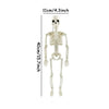 Halloween Plastic Skeleton Decoration