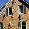 Halloween Plastic Skeleton Decoration