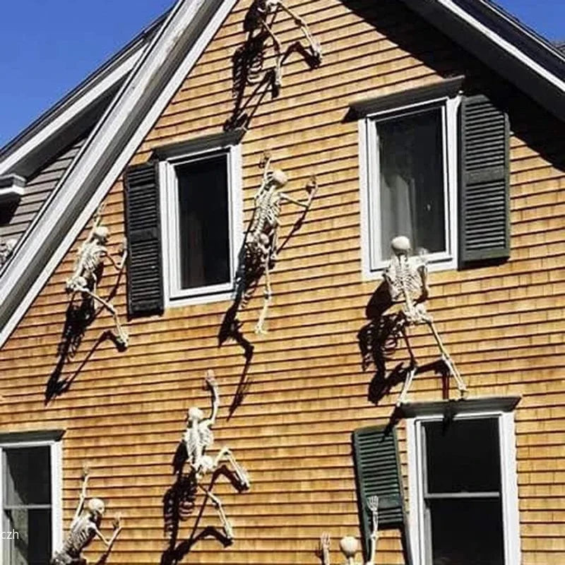 Halloween Plastic Skeleton Decoration