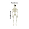 Halloween Plastic Skeleton Decoration