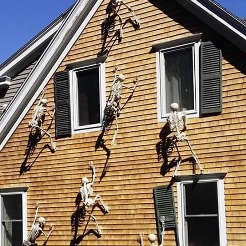 Humanoid Skeleton Halloween Prop