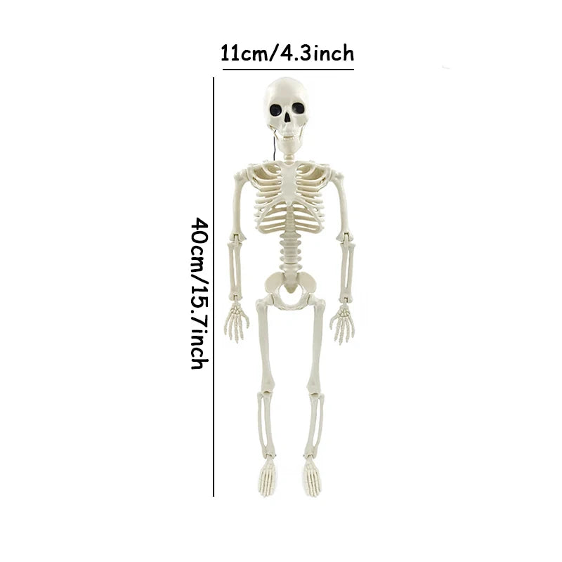 Humanoid Skeleton Halloween Prop