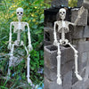 Humanoid Skeleton Halloween Prop